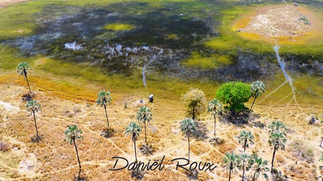 Okavango Delta (240)