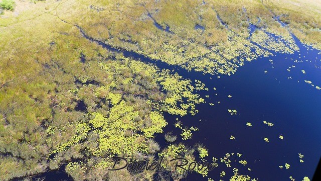 Okavango Delta 