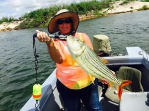 Email_Corlette_Tiger